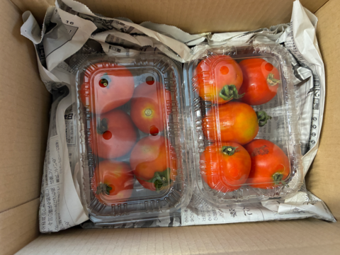 トマト出品です。 他の方のご購入は御遠慮ください 土曜出荷:出荷先制限】日本の調理用トマト『なつのこま』 (10個