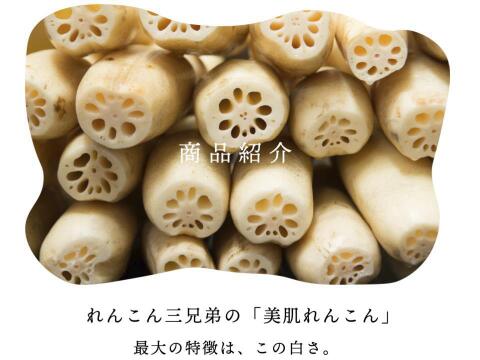 石井食品おまけ付【規格外】夏れんこん2kg  ★冷蔵便でシャキ旨直送  たっぷりで家計応援　/ 蓮根 / レンコン