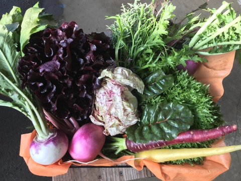 季節の野菜セット(約5~7品)＊Sサイズ