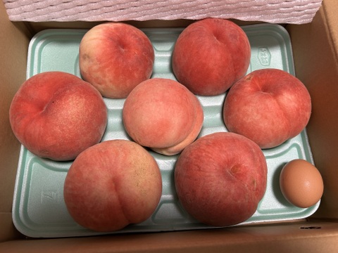 訳あり 固い桃 おどろき 福島県伊達市産 3kg