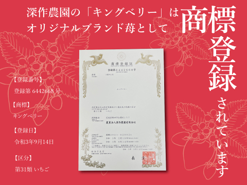 【いちご博2024　さわやかな甘み部門金賞】コクのある大人の味わい！いちご（苺・イチゴ）キングベリー【2Lサイズ×4パック】