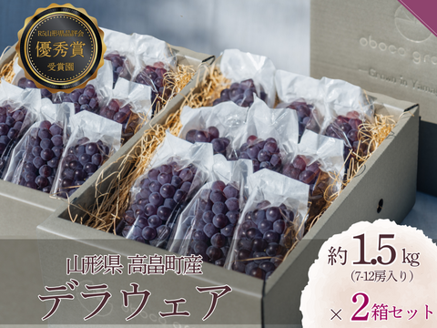 【2026年予約販売】甘さ弾ける！『デラウェア』1.5kg×２箱セット【お中元】