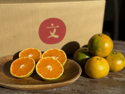 化学農薬不使用！！島育ちの極早生みかん『ゆら』5kg