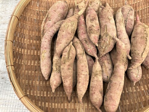 自然栽培〈規格外べにはるか10㎏・訳ありべにはるか10㎏セット〉大分県産さつまいも 20kg