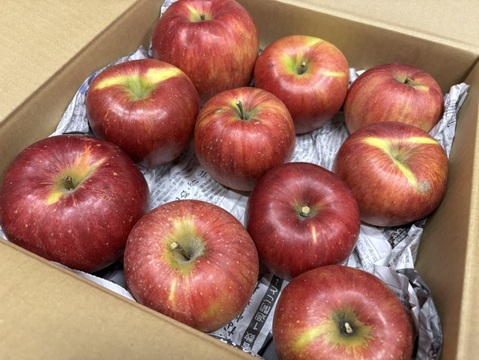 残り１箱🔸SALE🔸訳あり🍎完熟りんご【シナノスイート】約3.6kg(大きめ)