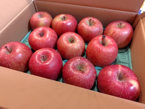 【夜市限定】感謝お礼セール‼️とことん味にこだわりました💪😊🍎青森県産葉取らず完熟ふじ3キロ。