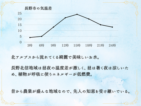 シナノスイート４～６玉 ギフトボックス【2025先行予約】【信州長野県産】※10月下旬より発送開始