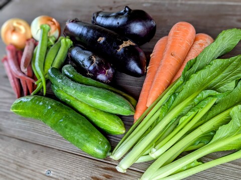 【フードロス商品・規格外・訳あり込み】☆未来をつくる笑み野菜☆旬の野菜セットS