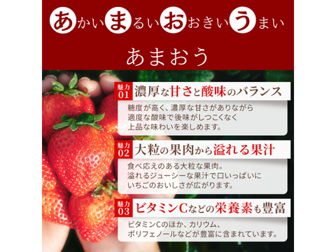 【予約販売 2026年11月下旬～順次発送】紅白特選あまおう 400ｇ ギフト お歳暮