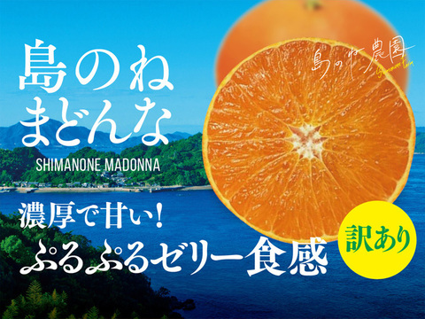 残りわずか数量限定セール！【訳あり】島のねまどんな【愛媛みかん/木成り完熟/サイズ混合/2kg】2,240円→980円