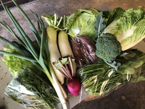 年末感謝セールふれあい農園野菜セット【幸せ6品以上】