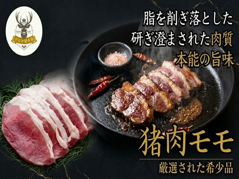 【我慢しないダイエット】ボディメイクに最適”猪モモ”噛むほど旨味溢れる🍖お得な大容量パッケージ約400g