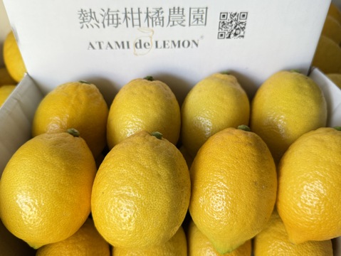〔秀・優〕完熟レモン・果汁たっぷり！『ATAMI de LEMON®』 3Kg- 爽やか芳醇- 品種お任せ