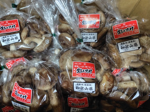 3㎏まとめ買い！菌床生しいたけ　小さくても美味しい（３㎏）