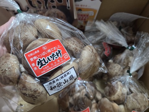 2㎏まとめ買い！菌床生しいたけ　小さくても美味しい（２㎏）