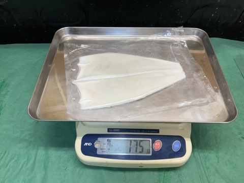 【謹製】ケンサキイカ/白イカ剥き身/胴体のみ/極みシリーズ/150~170g/原体500～600g【冷凍】