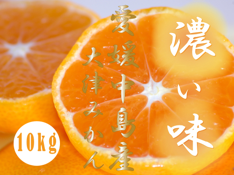 濃厚完熟　大津みかん　ご家庭用・10ｋｇ