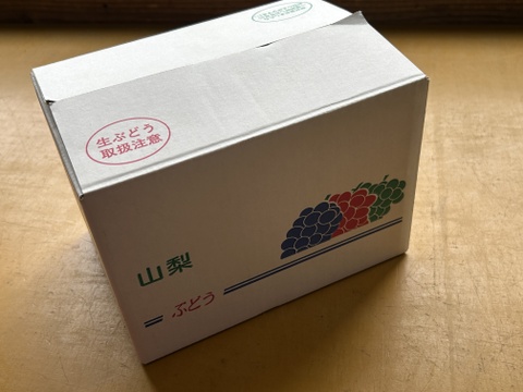 シャインマスカット　粒　アウトレット（ご家庭用1000g）