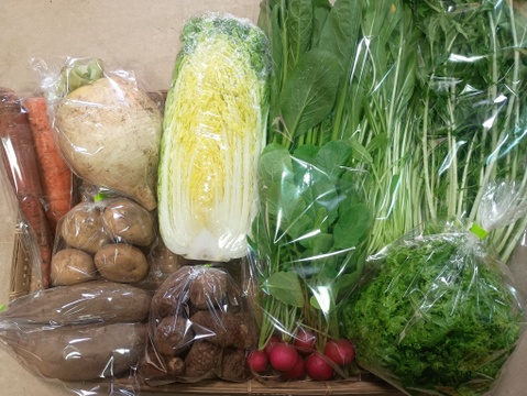 夏ギフト】旬の野菜セット7～8品【栽培期間中農薬・化学肥料不