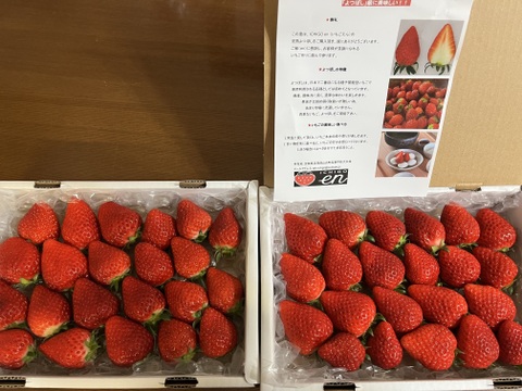 完熟よつぼし☆（ご家庭用・約530g×2箱）