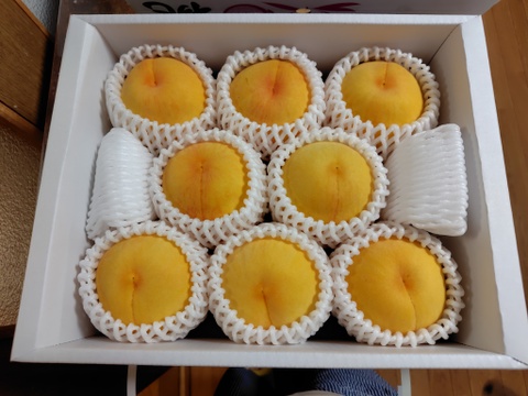 訳あり桃】黄金桃（2kg箱）：岡山県産の黄桃｜食べチョク｜産地直送