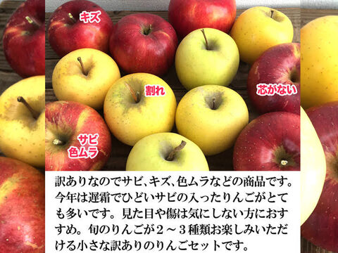 【7周年福袋】信州葉とらずりんごをたっぷり楽しむ🍎秋りんごの詰め合わせセット 4.5kg#NAX0B045