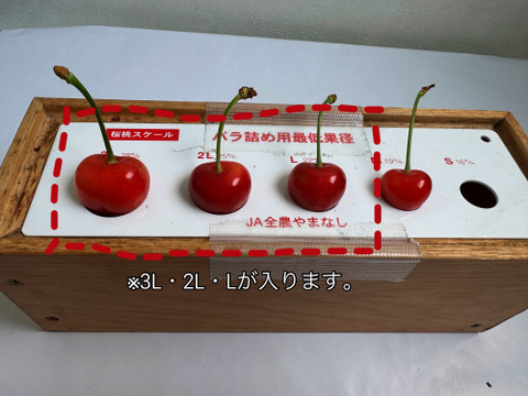 さくらんぼ【紅秀峰】500g