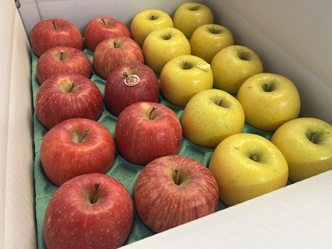 【家庭用】サンふじ＆シナノゴールドの詰め合わせセット 小玉　約5kg(20～23個)