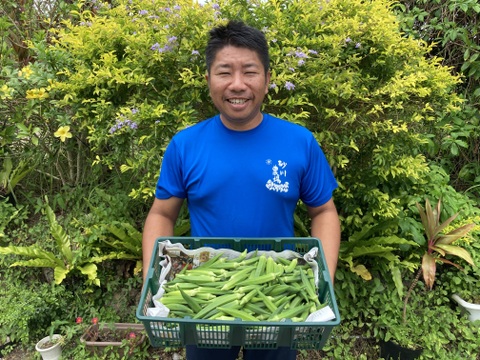 野菜生活応援キャンペーン✨
石垣島産オクラ（約1.7kg）バラエティーオクラ&訳ありオクラの組み合わせ❣️