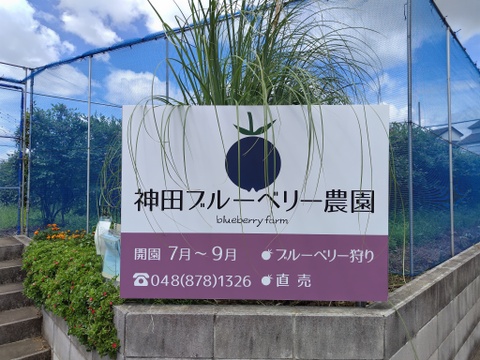 《訳あり》冷凍ブルーベリー２Kg 甘〜い！ お買い得！！