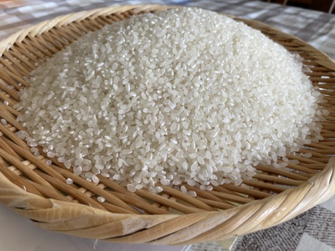 【令和7年産新米】「丹波ひかみ米　コシヒカリ」（精米4.5ｋｇ）