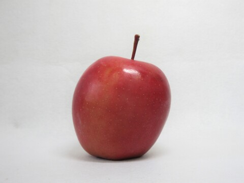 【超希少品種】果肉まで赤～いりんご『栄紅』超かわいいサイズちょっとB品18個(約2kg)