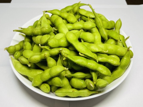 枝豆:「湯上がり娘」900g味には自信が有ります！濃厚な味😋「当日収穫/当日出荷！」