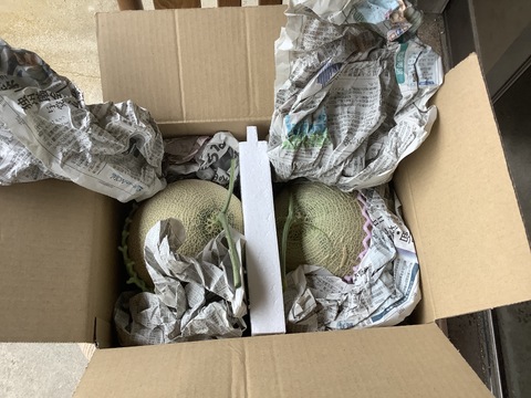 【２玉】【青赤セット】【ご家庭用】富山県氷見市産アールスメロン　３㎏以上