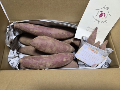 【新品種🍠Lサイズ】熟成栗かぐや土付き（3kg）