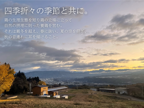 【平飼い 有精卵】自然養鶏「子持生命卵 kinari」10個入パック×２