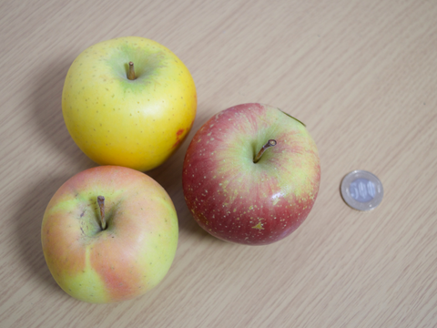 【お買い得】小玉りんご詰め合わせ（家庭用5kg・20～25玉）