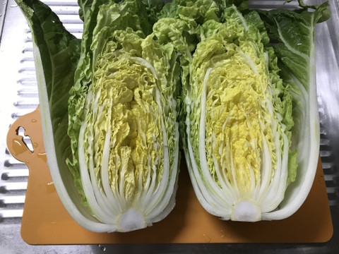 冬の野菜　7種セット