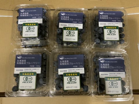 【有機JAS】摘みたて生果実！オーガニックブルーベリー／100g×12パック