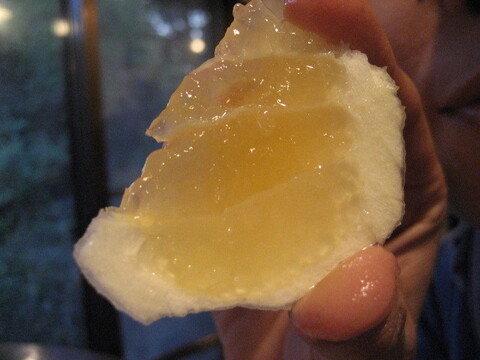 【母の日ギフト】【メッセージカード付き】朝採りニューサマーオレンジ２kg贈り物箱　農薬・肥料・除草剤不使用