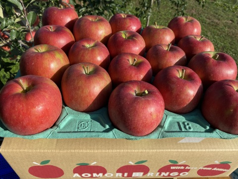 果汁たっぷり！青森県産『シナノスイート 』🍎家庭用5㎏(13玉～20玉)【収穫間近！】