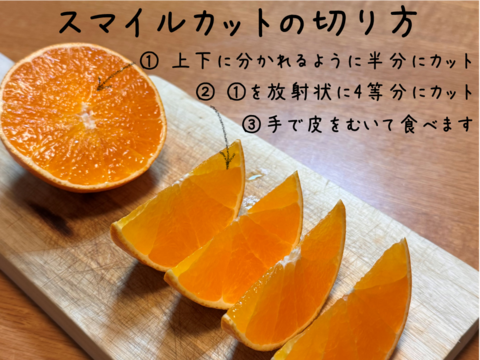 【とろけるゼリー食感】完熟ハウス 福まどんな《ご家庭用 2kg》｜サイズ混合｜愛媛・西宇和産