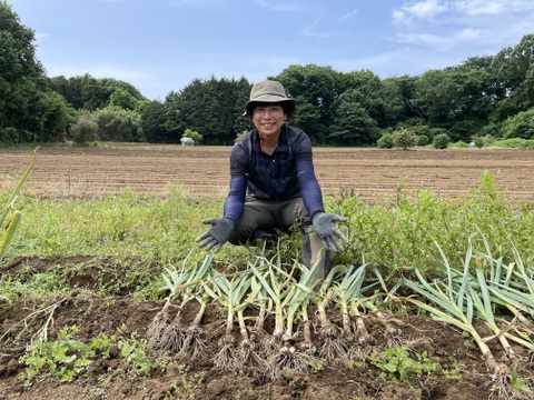 超芳醇！福地ホワイトにんにく 300g 乾燥済みＳ・Ｍ・Ｌサイズ混合（5～7個想定）【農薬 化学肥料不使用】