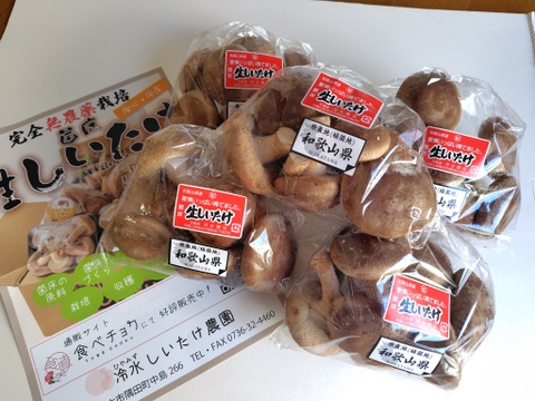 菌床生しいたけ！小さくても美味しい１㎏