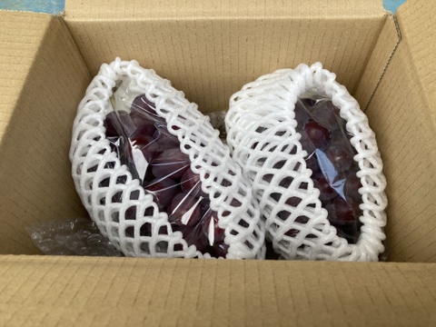 お得！長野県限定品種！クイーンルージュ約1kg（2〜3房）