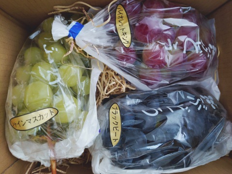季節の味わいおまかせブドウ三種セット