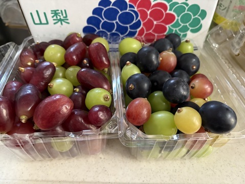 【品種MIX】お買い得♪ぶどうの切り落とし1.5kg