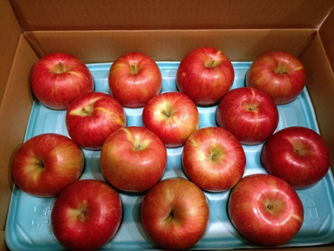 甘くて美味い！シナノスイート　長野県産　ご家庭用　約5kg(10個〜20個)