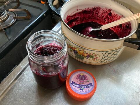 【期間限定値下げ】ジャムを作ろう！健康生活！お値打ち冷凍ブルーベリー（500g×2パック）【栽培期間中農薬不使用】