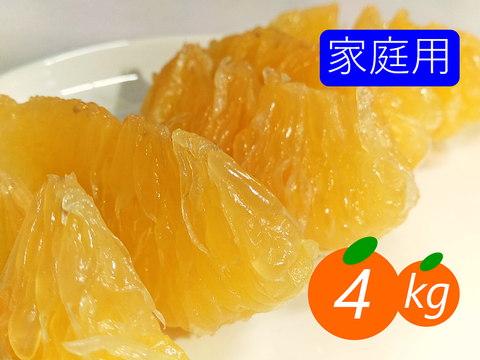 【家庭用】河内晩柑 4kg 爽快！スプラッシュ！！和製グレープフルーツ♡